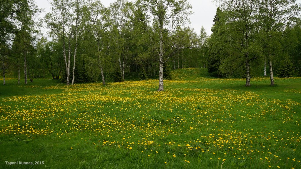 DSC04243_wm