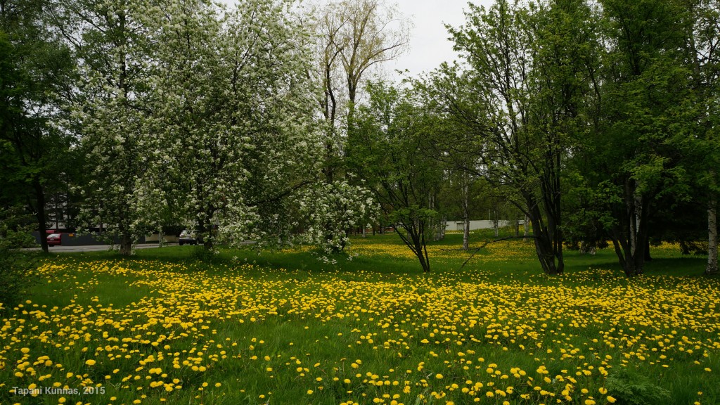 DSC04244_wm