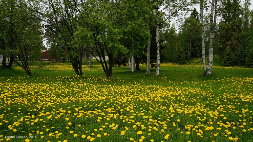 DSC04245_wm
