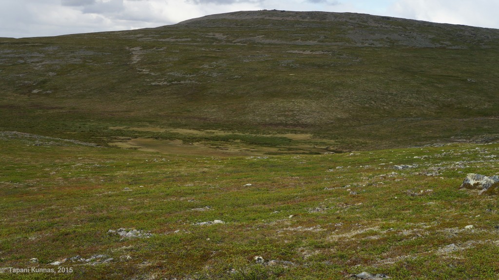 Suo tuntureiden välisen laakson pohjalla.