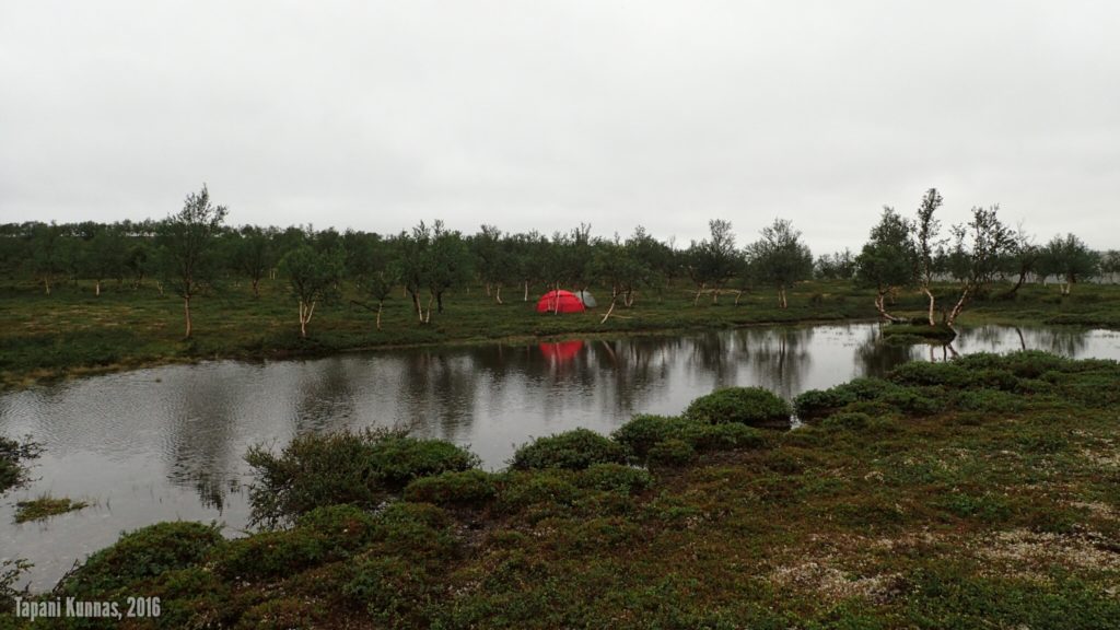 Koko yön satoi ja aamulla lammen vedenpinta oli 15 senttiä korkeammalla kuin paikalle saapuessamme.