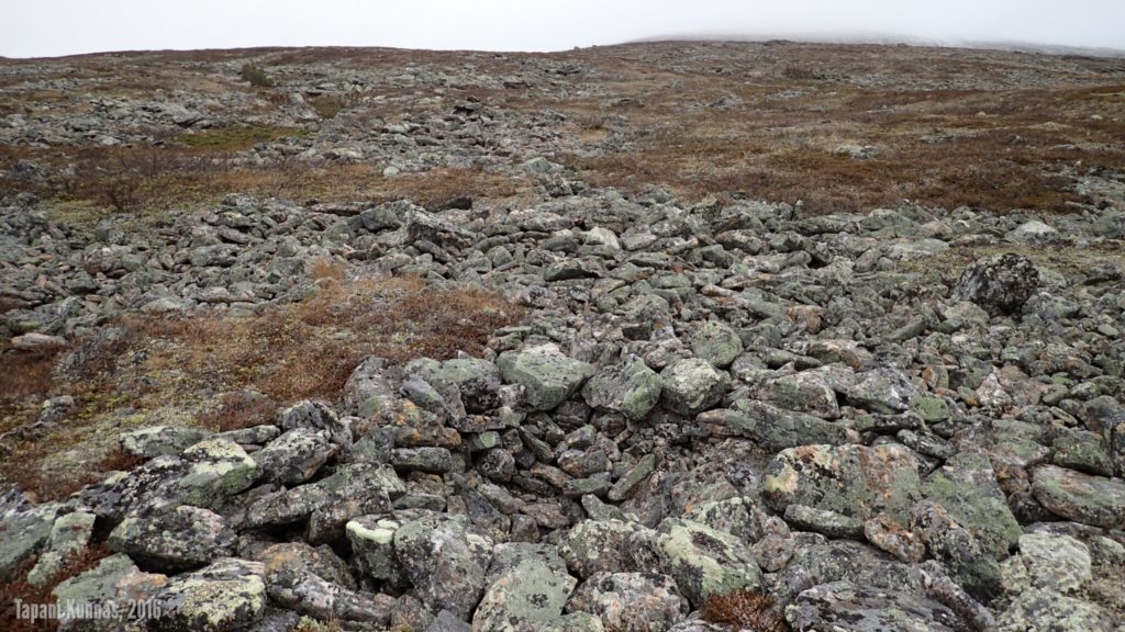 Tunturiin on helppo kiivetä, vaikka nousu onkin jyrkkä. Pahimmat kivikot ovat kierrettävissä.