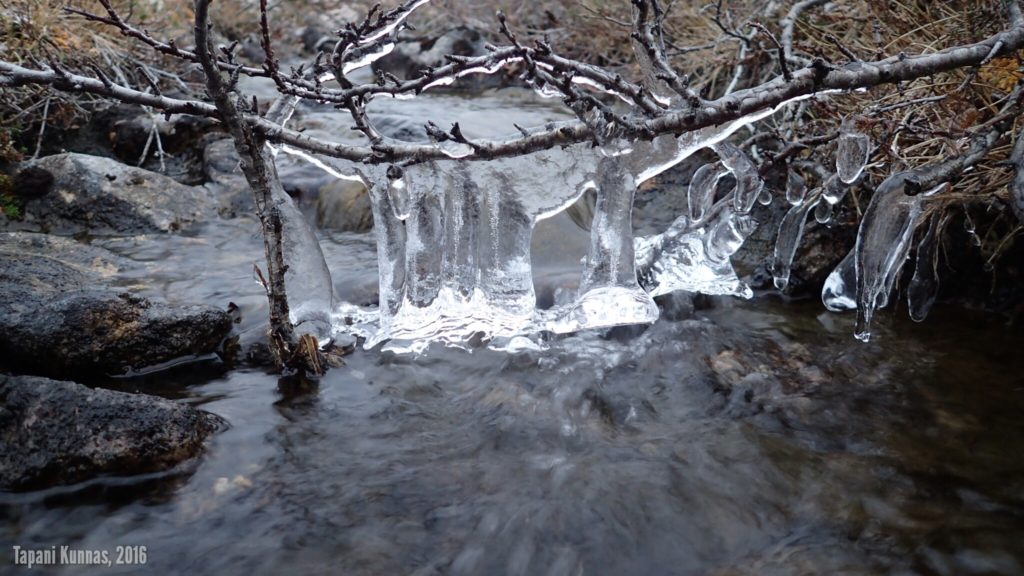 Vielä yksi kuva samasta teemasta.