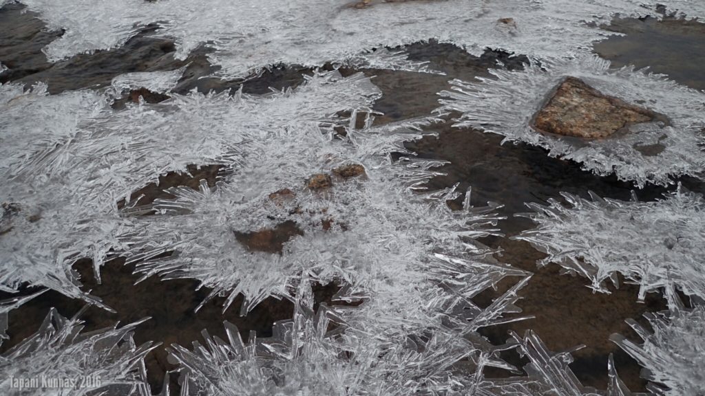 Jäämuodostelmia suolle virtaavassa purossa.