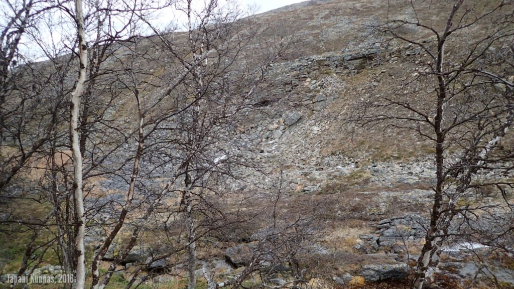 Tiistai on kurupäivä. Ensi töikseni laskeudun Áilegasroavvin luoteispuolella olevaan kuruun, jonka vieressä vietin retken toisen yön.