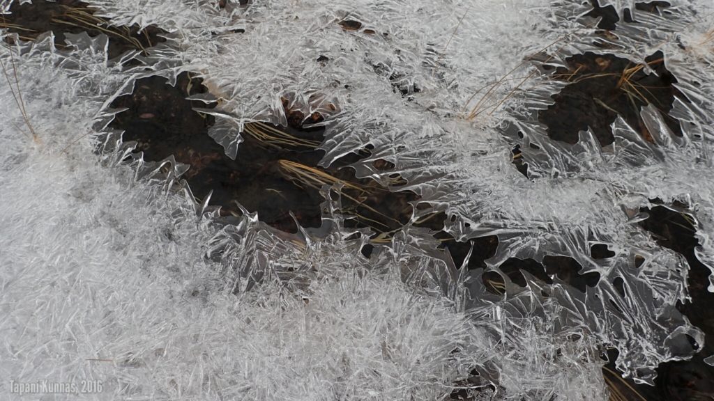Lammelta suuntaan Áilegasroavegorsa -kuruun, jonka pohjalla virtaavassa purossa on jälleen kauniita jäämuodostelmia.