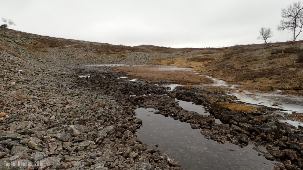 Áilegasroavegorsan vedenjakaja. Edessä näkyvän harjanteen jälkeen alkaa uusi puro, joka virtaa tästä eteenpäin.
