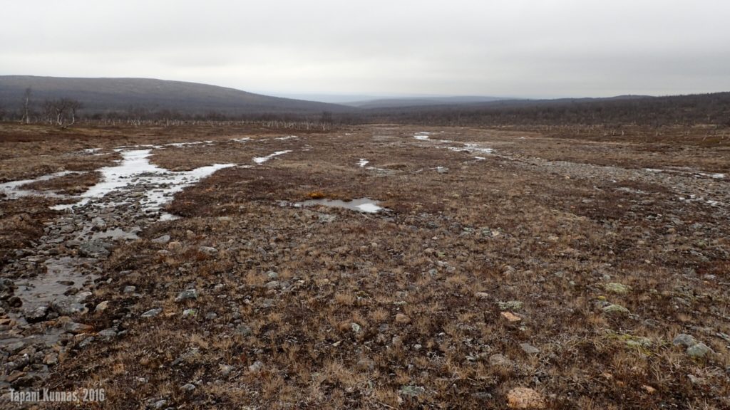 Tällä purouomalla on leveyttä useita kymmeniä metrejä. Haluan joskus nähdä tämän alkukesästä, kun virtaama on suurimmillaan.