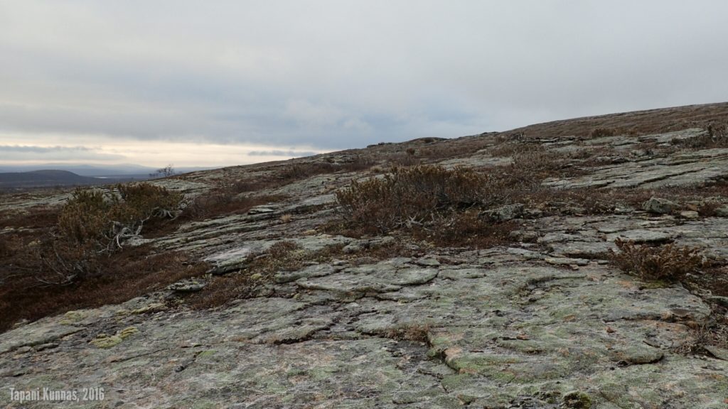 Gieđmeskálonjunnin kaakkoisrinteen kallioita.