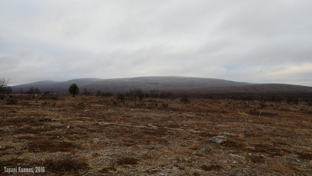 Korkeimmat huiput idästä päin nähtyinä. Vasemmalta Láŋká, nimetön huippu, Gaskkamušaláš ja oikeassa reunassa linssiluteena Gieđmeskálonjunni.